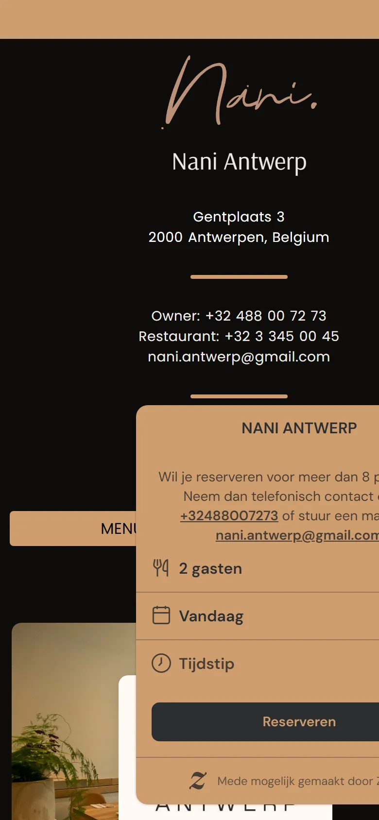 Mobile screenshot of the Nani Antwerp website